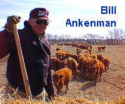 Bill Ankenman