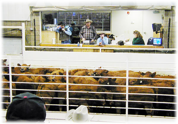 joplin livestock market