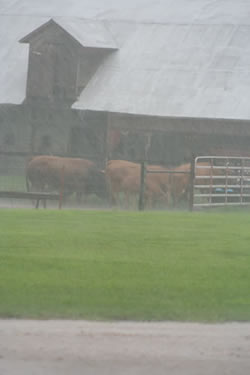 rain_jun07_barn
