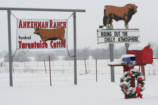 ranchsign_all_christmas09