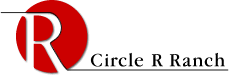logo_229x75